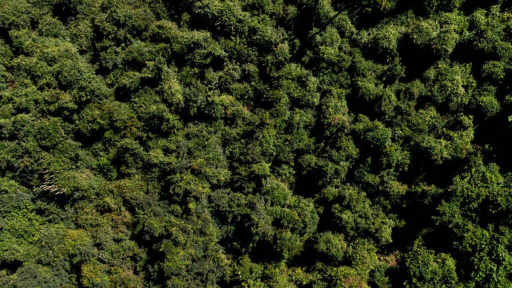 como captar clientes na advocacia ambiental
