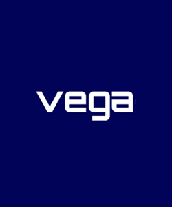 Grupo Vega Automotores